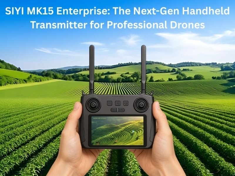 Control station and monitoring